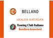 Logo bandiere arancioni